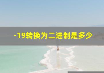 -19转换为二进制是多少