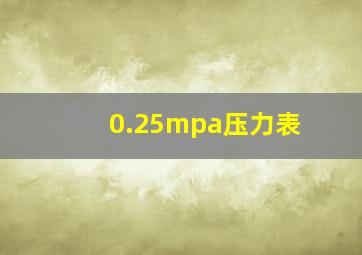 0.25mpa压力表