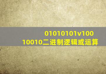 01010101v10010010二进制逻辑或运算