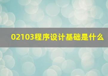 02103程序设计基础是什么