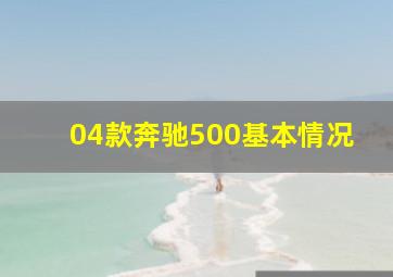 04款奔驰500基本情况