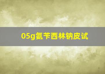 05g氨苄西林钠皮试