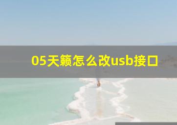 05天籁怎么改usb接口