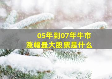 05年到07年牛市涨幅最大股票是什么