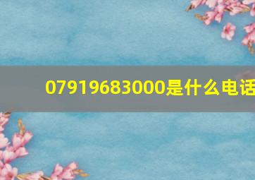 07919683000是什么电话