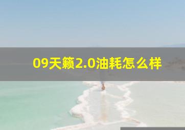 09天籁2.0油耗怎么样