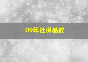 09年社保基数