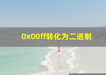 0x00ff转化为二进制