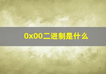 0x00二进制是什么