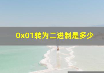 0x01转为二进制是多少