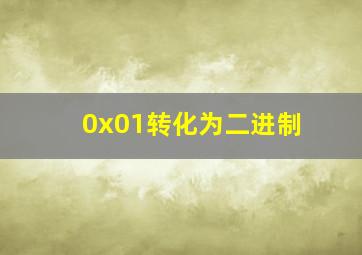 0x01转化为二进制