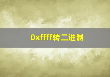 0xffff转二进制