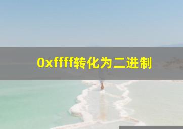 0xffff转化为二进制