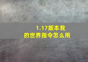 1.17版本我的世界指令怎么用