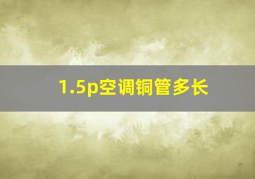 1.5p空调铜管多长