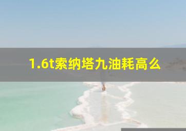 1.6t索纳塔九油耗高么