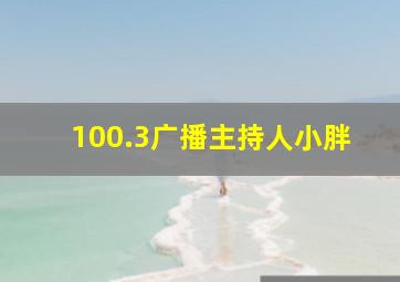 100.3广播主持人小胖