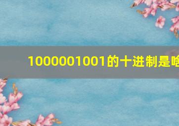 1000001001的十进制是啥