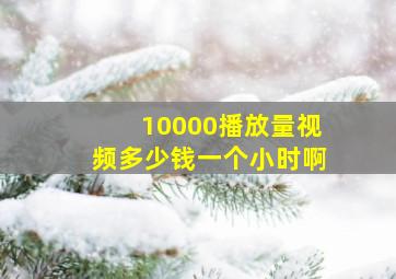 10000播放量视频多少钱一个小时啊