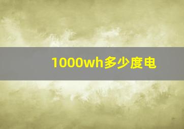 1000wh多少度电