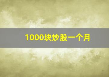 1000块炒股一个月