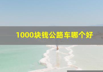 1000块钱公路车哪个好