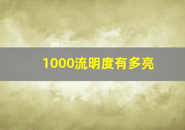 1000流明度有多亮