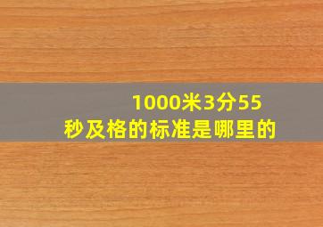 1000米3分55秒及格的标准是哪里的