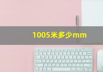 1005米多少mm