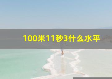 100米11秒3什么水平