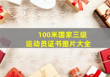 100米国家三级运动员证书图片大全