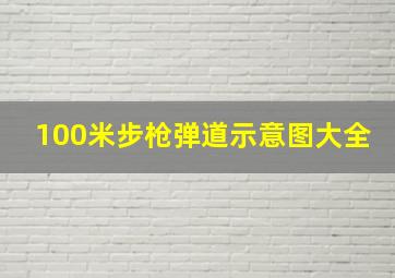 100米步枪弹道示意图大全