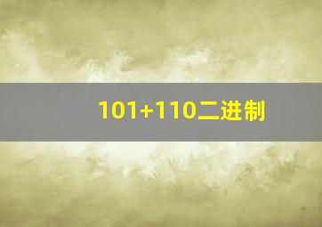 101+110二进制