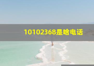 10102368是啥电话