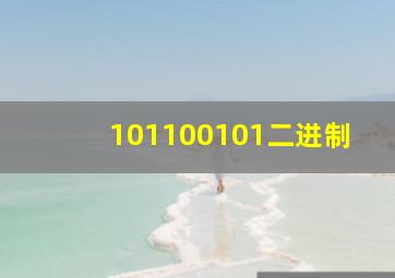 101100101二进制