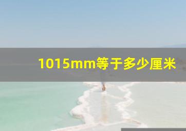 1015mm等于多少厘米