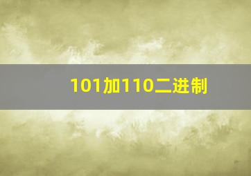 101加110二进制