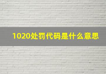 1020处罚代码是什么意思