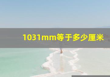 1031mm等于多少厘米