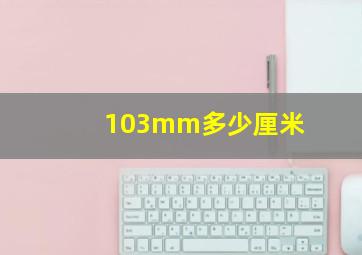 103mm多少厘米