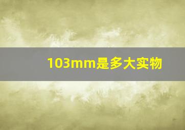 103mm是多大实物