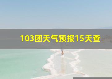 103团天气预报15天查