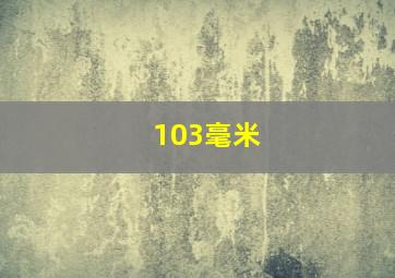 103毫米