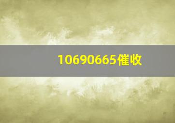 10690665催收