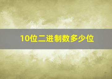 10位二进制数多少位