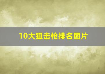 10大狙击枪排名图片