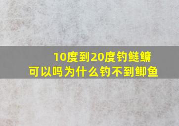 10度到20度钓鲢鳙可以吗为什么钓不到鲫鱼