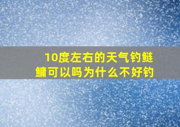 10度左右的天气钓鲢鳙可以吗为什么不好钓