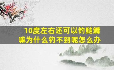 10度左右还可以钓鲢鳙嘛为什么钓不到呢怎么办