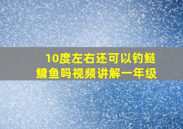 10度左右还可以钓鲢鳙鱼吗视频讲解一年级